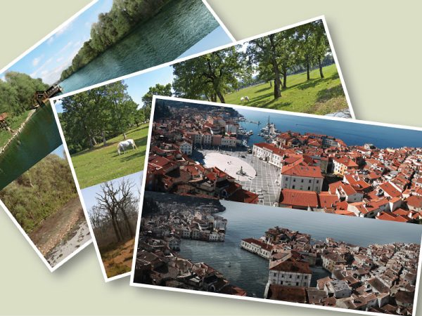 Umanotera 00 fotografiranje na terenu